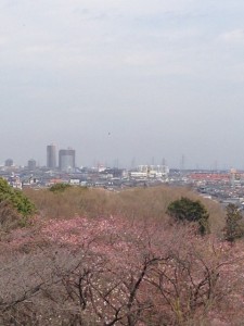 荒幡富士小手指