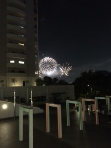 お台場　丸白　花火